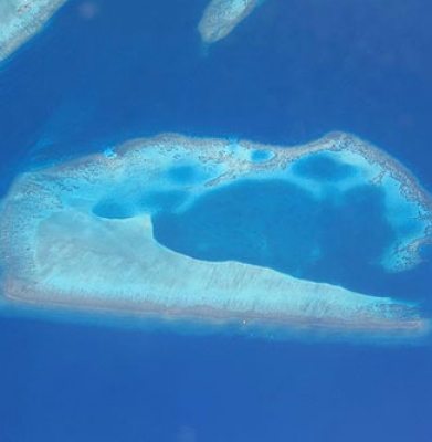 MALDIVE 2008
